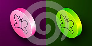 Isometric line Butterfly icon isolated on purple and green background. Circle button. Vector