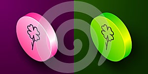 Isometric line Four leaf clover icon isolated on purple and green background. Happy Saint Patrick day. Circle button