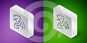 Isometric line Oak leaf icon isolated on purple and green background. Silver square button. Vector
