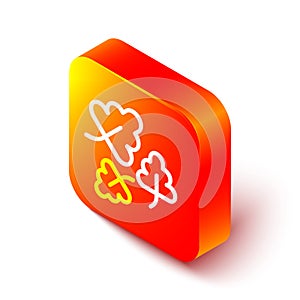 Isometric line Oak leaf icon isolated on white background. Orange square button. Vector