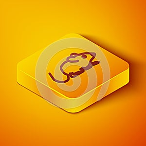 Isometric line Rat icon isolated on orange background. Mouse sign. Animal symbol. Yellow square button. Vector