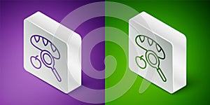 Isometric line Searching for food icon isolated on purple and green background. Homelessness and poverty concept. Silver