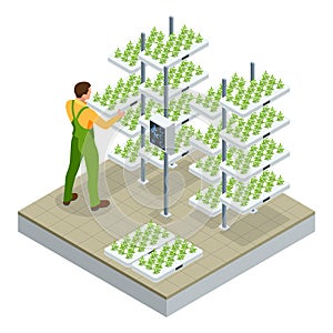 Isometric modern smart industrial greenhouse. Artificial intelligence robots in agricultural. Organic food, agriculture