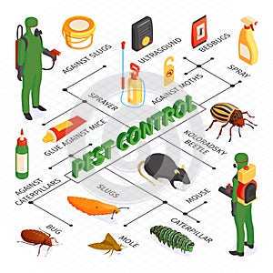 Isometric Pest Control Flowchart photo