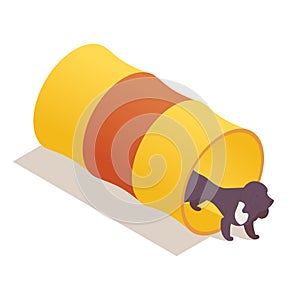 Isometric pet agility training scene with dog inside the tunnel. 3d dimensional vibrant illustration isolated on white