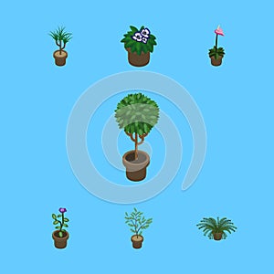 Isometric Plant Set Of Flower, Tree, Grower And Other Vector Objects. Also Includes Flower, Houseplant, Pot Elements.