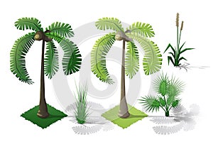 Isometric plants forest collection set. Fall trees.