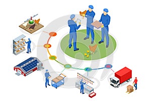 Isometric Poultry farming. Poultry farm building, production of chicken meat, eggs, poultry products. Free-range chicken