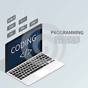 Programmer coding binary computer isometric flat vector