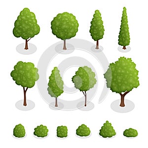 Isometric set of park plants. 3d green trees and bushes of various shapes isolated on white background vector