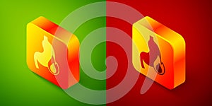 Isometric Stomach heartburn icon isolated on green and red background. Stomach burn. Gastritis and acid reflux