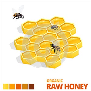 Isometric Sweet Honeycomb and bees. Raw Honey. Vector illustration isolated on white