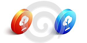 Isometric Tree icon isolated on white background. Forest symbol. Orange and blue circle button. Vector