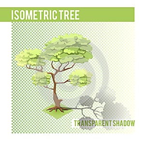 Isometric Tree 001