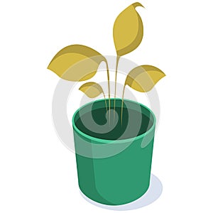 Isometric yellow home plant in a round green pot.