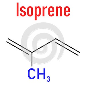 Isoprene, rubber, polyisoprene, building block, monomer. Skeletal formula.