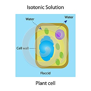 Isotonic solution