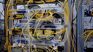 Isp server. Optical cords, cables. Web server racks. Data security