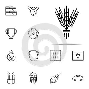 Israel Barley icon. Judaism icons universal set for web and mobile