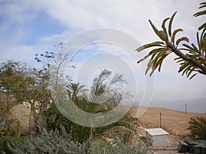 Israel Beach by Travel,Viaje a Israel photo