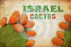 Israel Cactus. Opuntia cactus with large flat pads and red thorny edible fruits. Prickly pears fruit. Sabra cacti