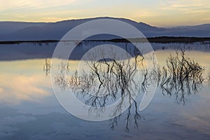 Israel. Dead sea. Dawn.