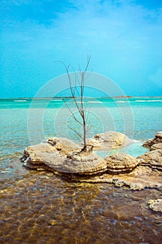 Israel, Dead Sea