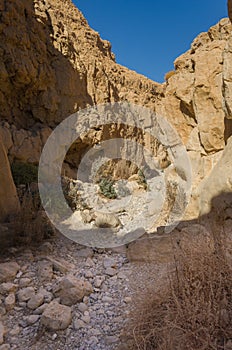 Israel. Desert Negev