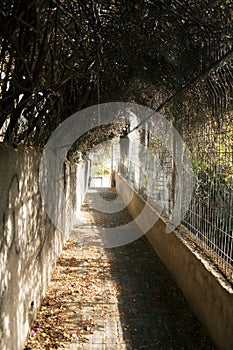 Israel Jerusalem landscape old city. Stone pavement, sunny autumn day.