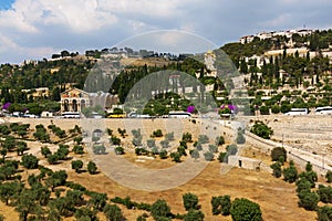 Israel. Jerusalem. Old city. The south wall. View of the Mount of Olives photo