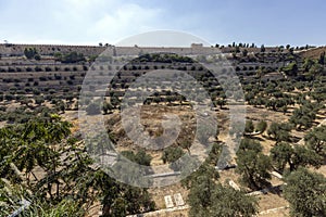 Israel - Jerusalem - Valley of Josaphat - Mount of Olives Cemetery