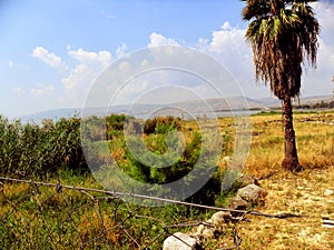 Israel, Sea of Galilee, Tabgha, Church of the Multiplication