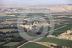 Israeli Cultivated Camps & Ceasefire Line