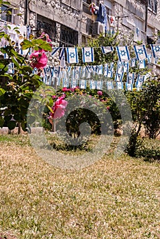 Israeli flags in garden in Jerusalem