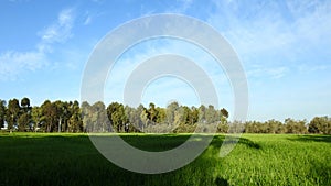 Israelâ€™s winter colors are blue sky, white clouds and rich in color vegetation.