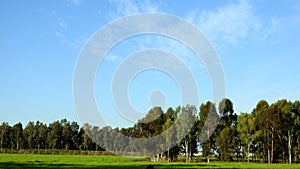 Israelâ€™s winter colors are blue sky, white clouds and rich in color vegetation.