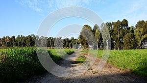 Israelâ€™s winter colors are blue sky, white clouds and rich in color vegetation.