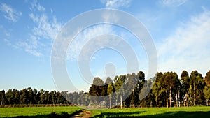 Israelâ€™s winter colors are blue sky, white clouds and rich in color vegetation.