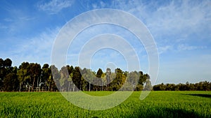 Israelâ€™s winter colors are blue sky, white clouds and rich in color vegetation.