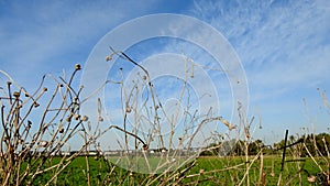 Israelâ€™s winter colors are blue sky, white clouds and rich in color vegetation.