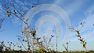 Israelâ€™s winter colors are blue sky, white clouds and rich in color vegetation.