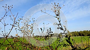 Israelâ€™s winter colors are blue sky, white clouds and rich in color vegetation.