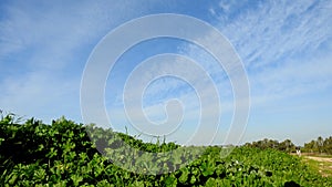 Israelâ€™s winter colors are blue sky, white clouds and rich in color vegetation.