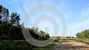 Israelâ€™s winter colors are blue sky, white clouds and rich in color vegetation.