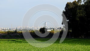 Israelâ€™s winter colors are blue sky, white clouds and rich in color vegetation.