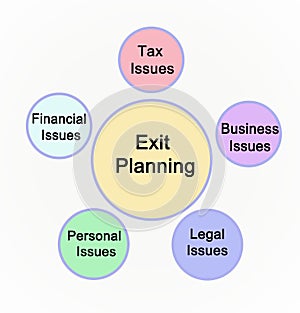 Issues in Planning for Exit