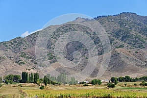 Issyk-Kul scenery, Kyrgyzstan