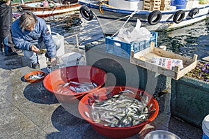 Istanbul bosphorus, fishing rod with the fish hunting