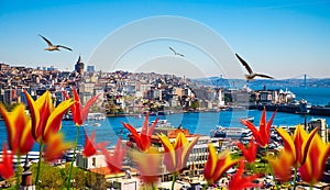 Istanbul the capital of Turkey
