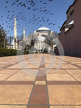 Blue mosque and Hagia Sophia Museum / istanbul historical city photo